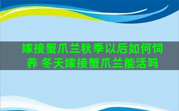 嫁接蟹爪兰秋季以后如何饲养 冬天嫁接蟹爪兰能活吗